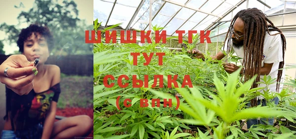 гидра Горнозаводск
