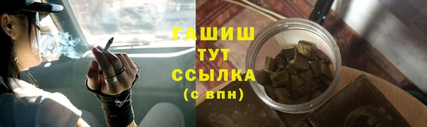 гидра Горнозаводск