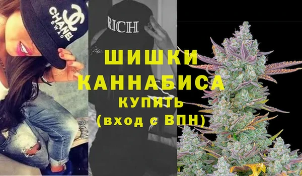 дмт Горняк