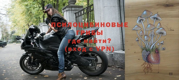 МДПВ Горно-Алтайск