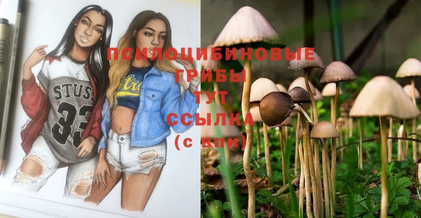 дмт Горняк
