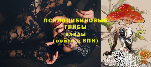 дмт Горняк