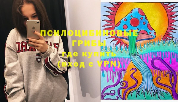 МДПВ Горно-Алтайск