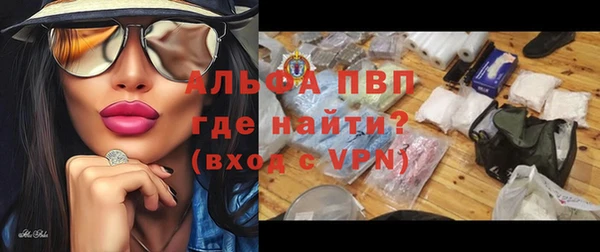 гидра Горнозаводск